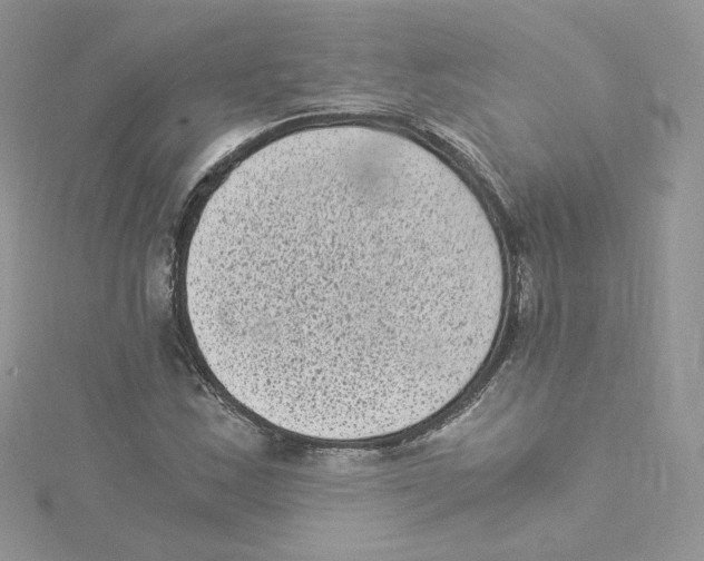 X0000114521163200911161310