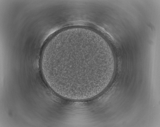 X0000114521166200911161310