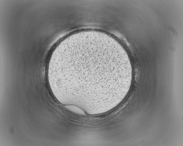 X0000114521167200911161310