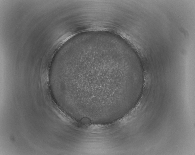 X0000114521169200911161310