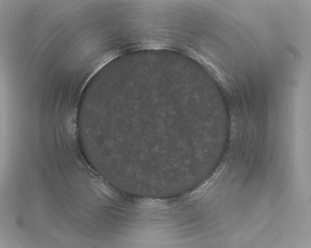 X0000114521170200911161310