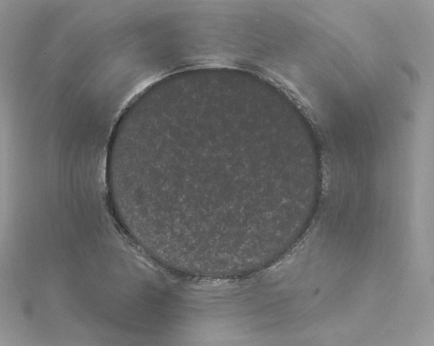 X0000114521174200911161310