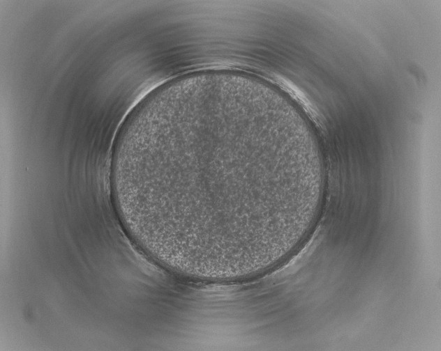 X0000114521178200911161310