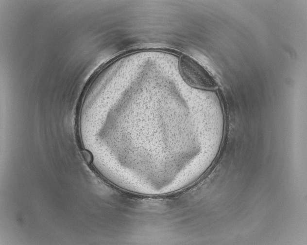 X0000114521181200911161310