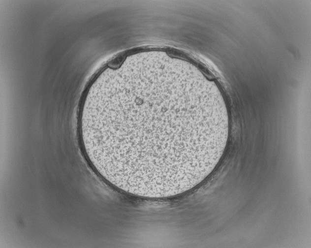 X0000114521183200911161310