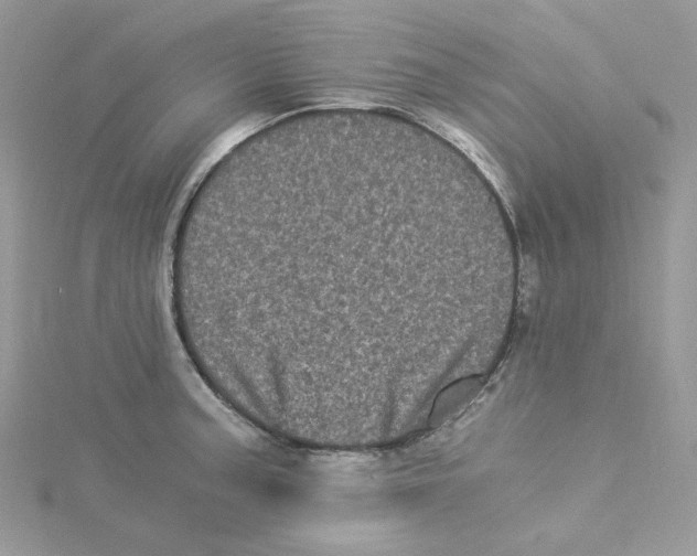 X0000114521187200911161310