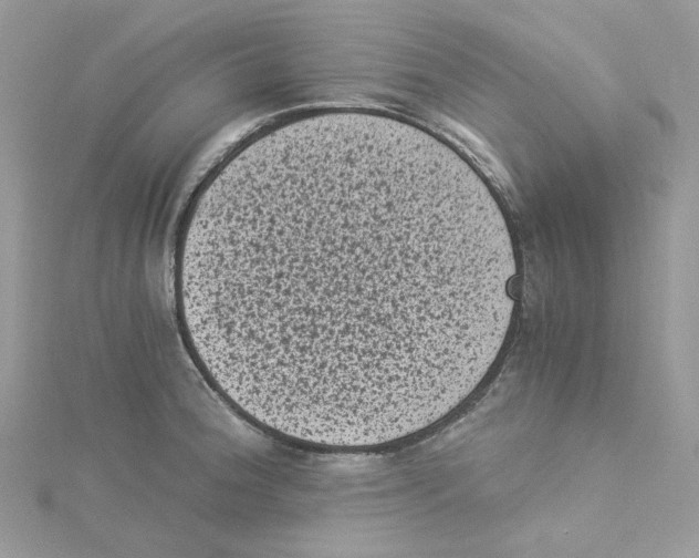 X0000114521188200911161310