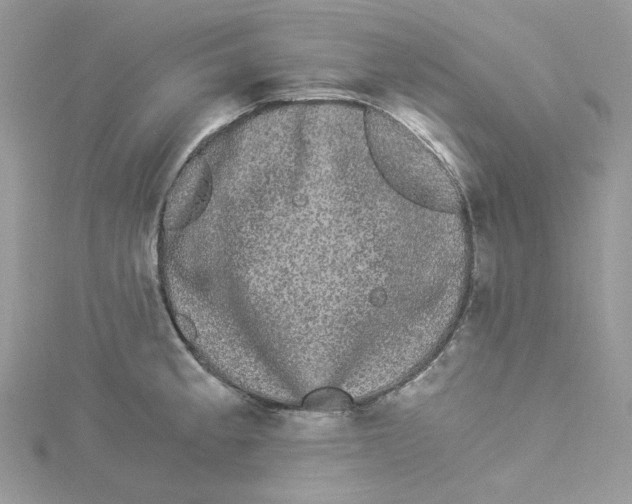 X0000114521189200911161310