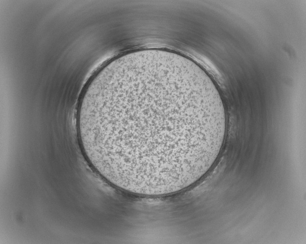 X0000114521190200911161310