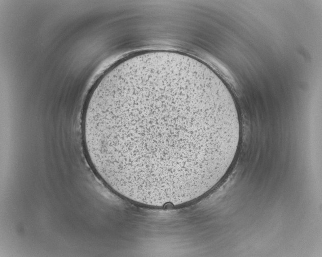 X0000114521192200911161310