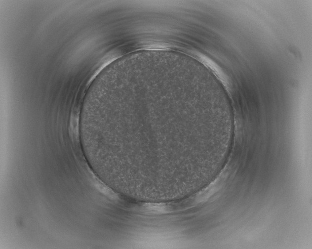 X0000114521194200911161310