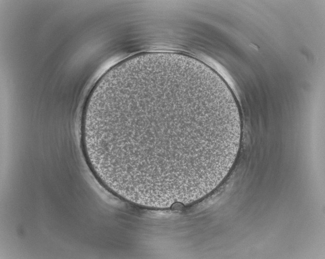 X0000114521195200911161310