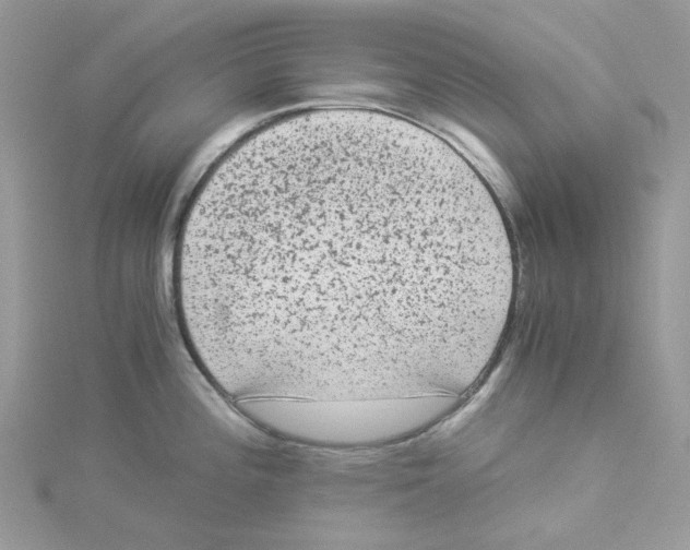 X0000114521196200911161309