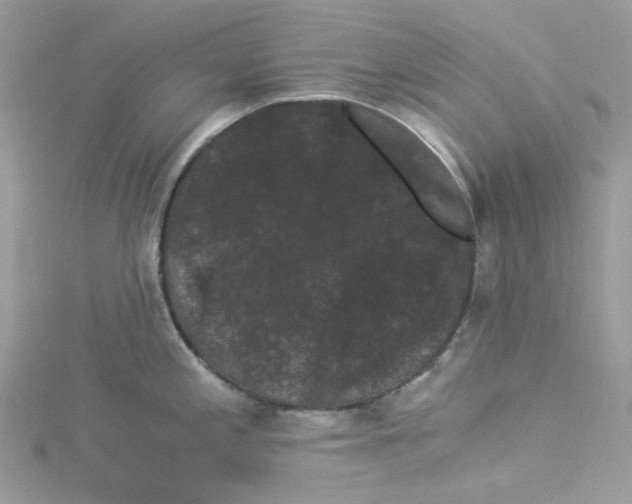 X0000114521197200911161309