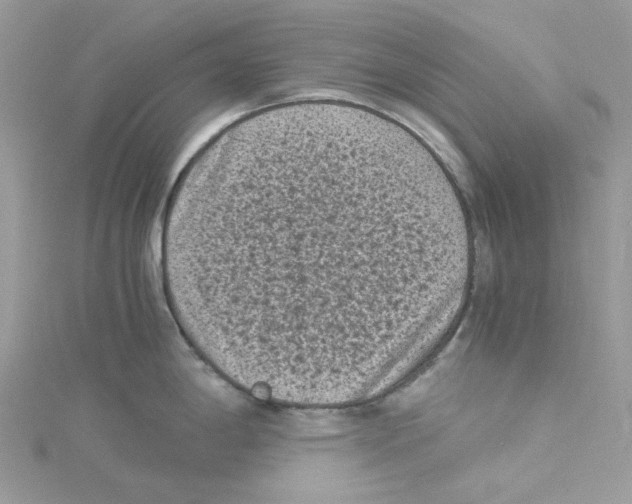 X0000114521198200911161309