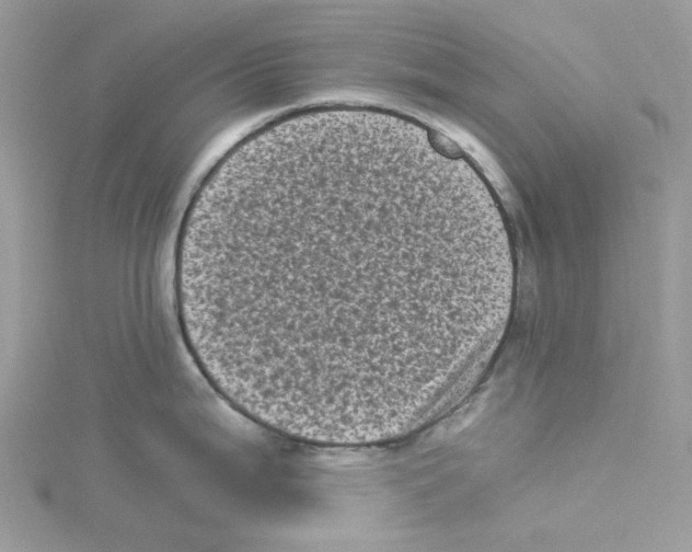 X0000114521199200911161309