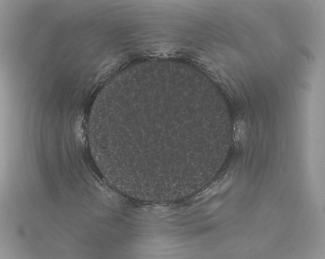 X0000114521202200911161309