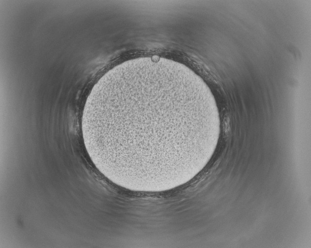 X0000114521204200911161309