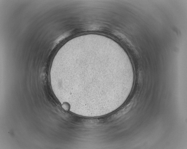 X0000114521210200911161309