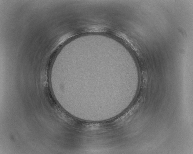 X0000114521211200911161309