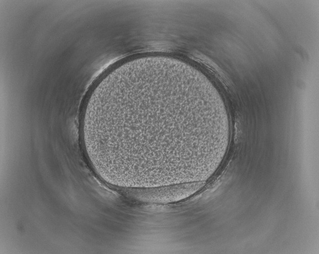 X0000114521212200911161309