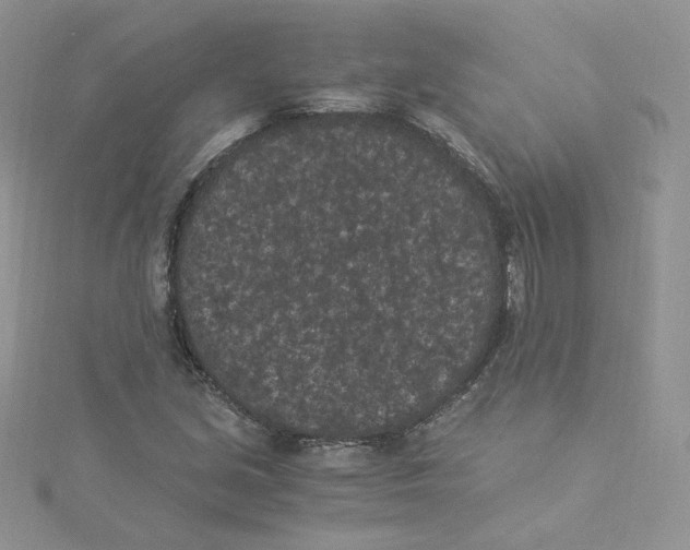 X0000114521213200911161309