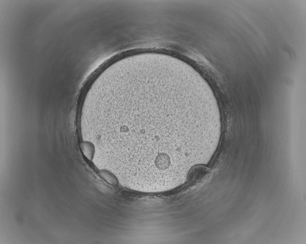 X0000114521216200911161309