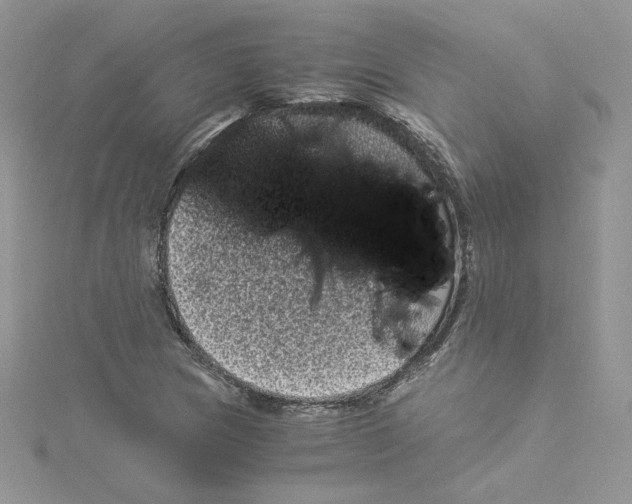 X0000114521217200911161309