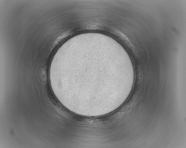 X0000114521218200911161309