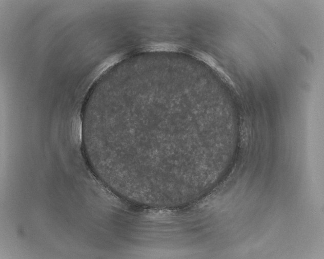 X0000114521221200911161309