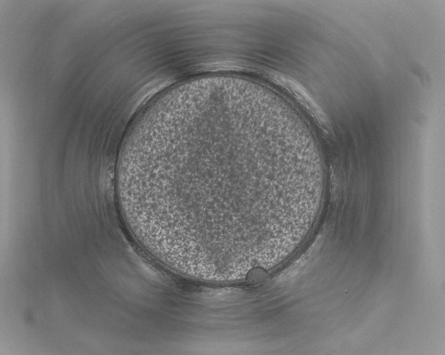 X0000114521225200911161309