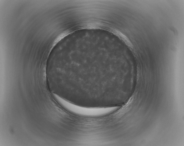 X0000114521226200911161309