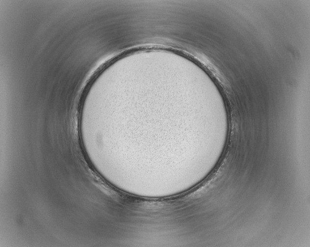 X0000114521232200911161309