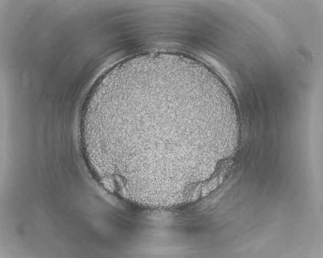 X0000114521235200911161309