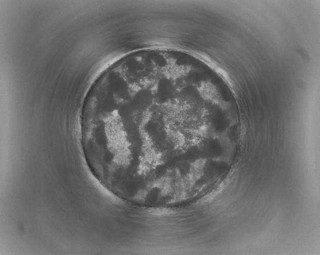 X0000114521239200911161309