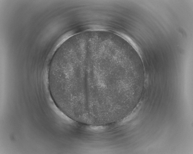 X0000114521243200911161309