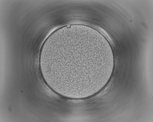 X0000114521244200911161309