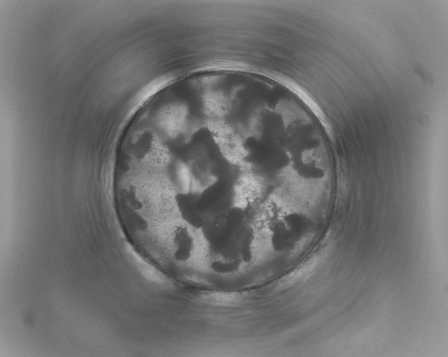 X0000114521245200911161309