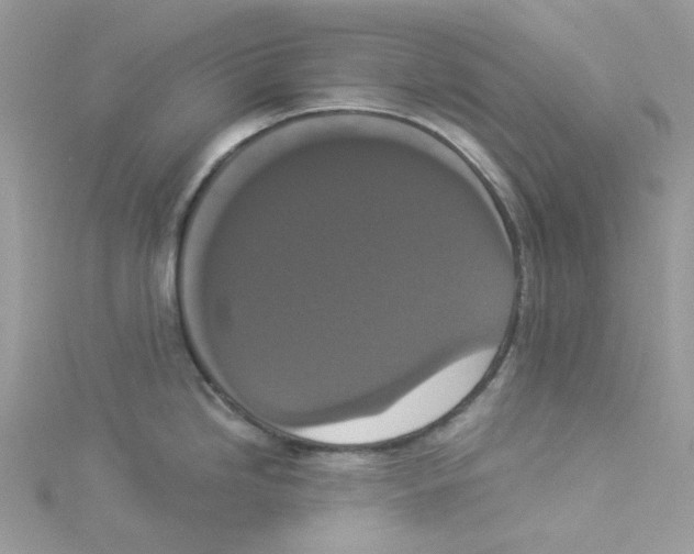 X0000114521246200911161309