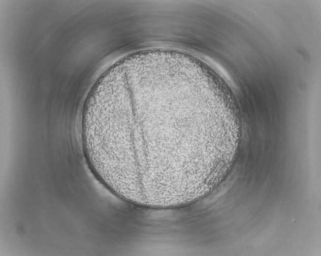 X0000114521247200911161309