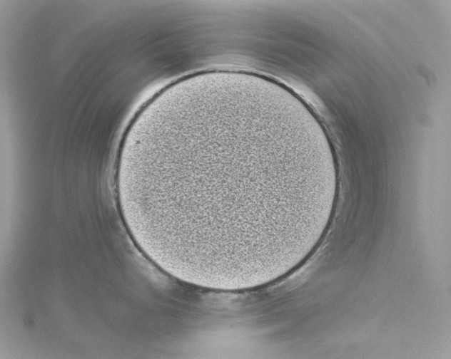 X0000114521248200911161309