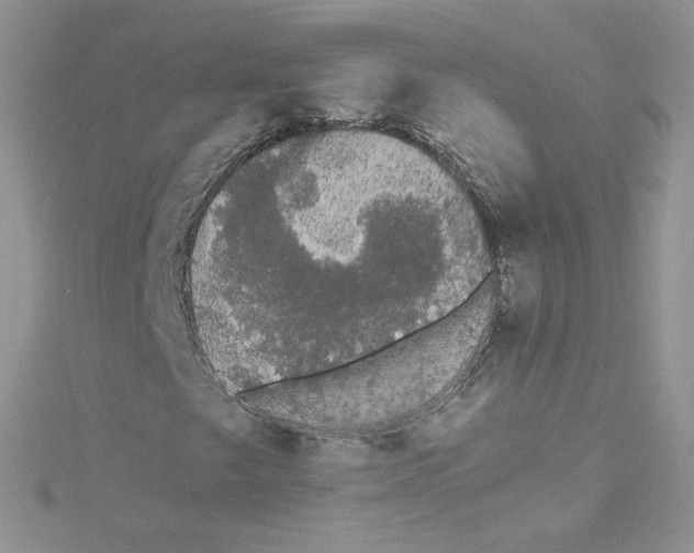 X0000114521249200911161309