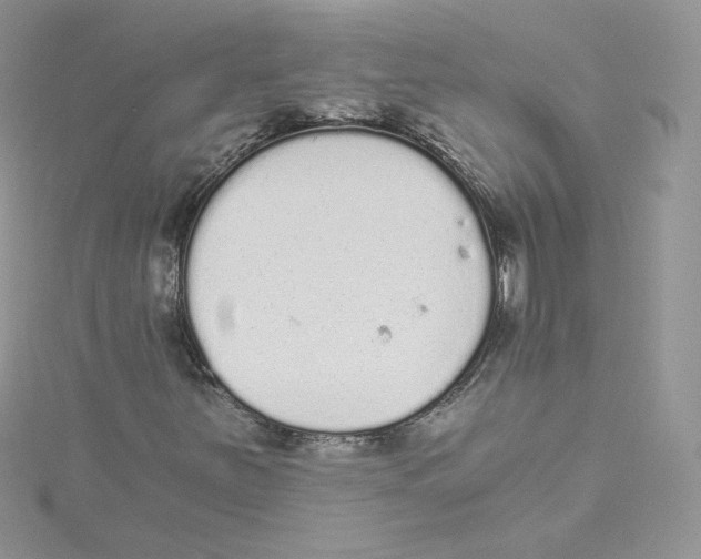 X0000114521251200911161309