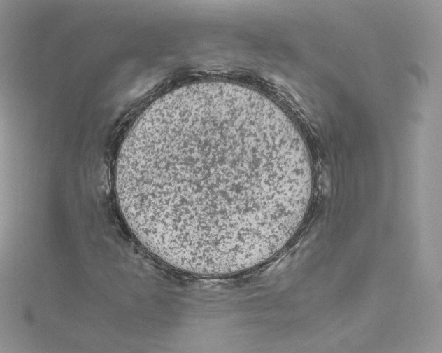 X0000114521253200911161309