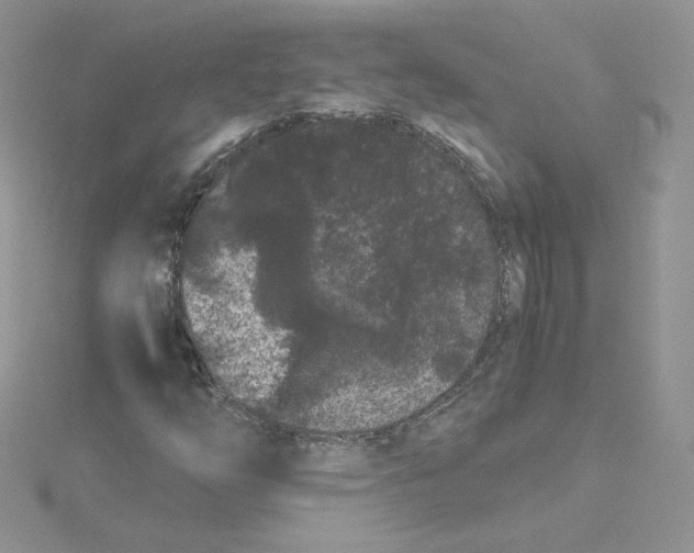 X0000114521254200911161309