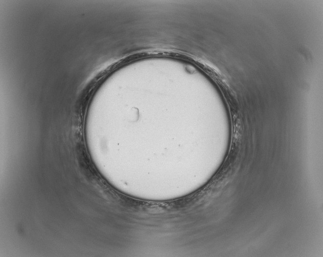 X0000114521255200911161309