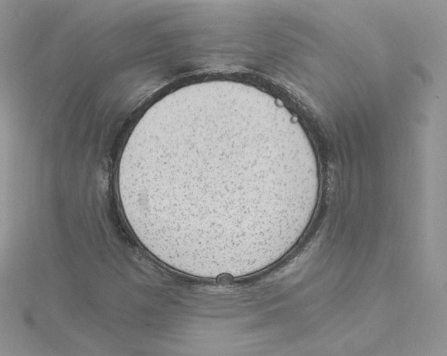 X0000114521257200911161309