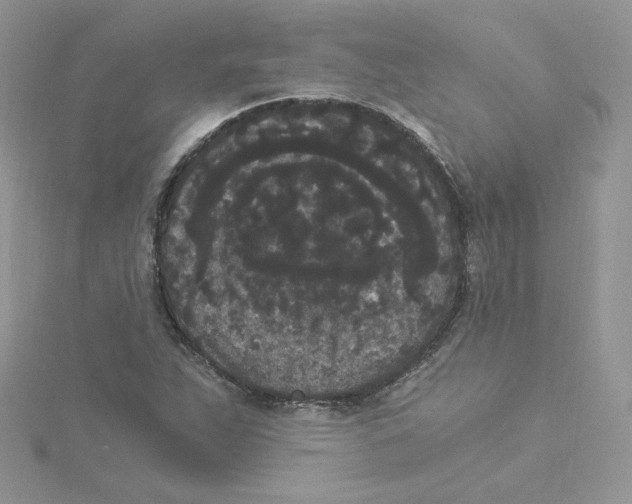 X0000114521263200911161309