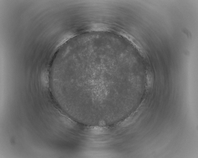 X0000114521266200911161309