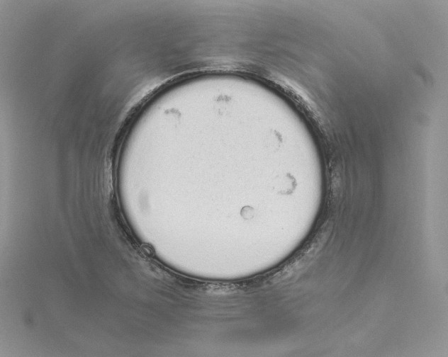 X0000114521267200911161309